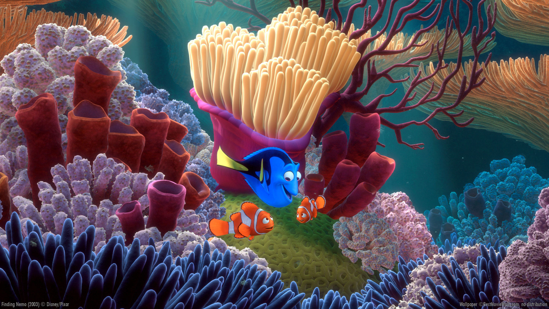 finding-nemo-20