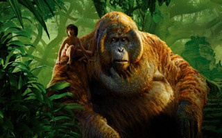 Jungle Book (2016)