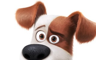 The Secret Life of Pets (2016)