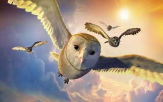 Legend of the Guardians: Owls of Ga'Hoole (2010)