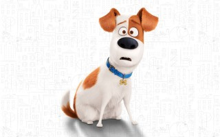 The Secret Life of Pets (2016)