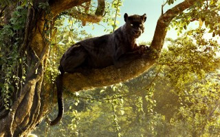 Jungle Book (2016)