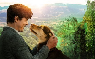 A Dog's Way Home (2019)