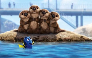 Finding_Dory_25