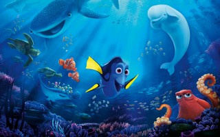 Finding_Dory_11