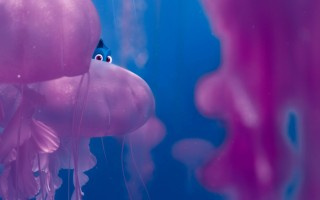 Finding_Dory_05