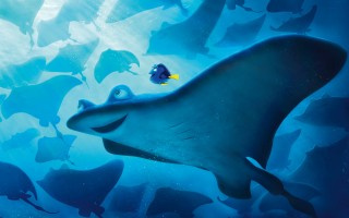 Finding_Dory_14