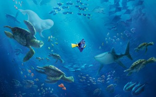 Finding_Dory_09