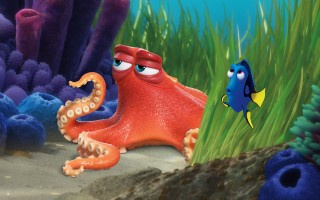 Finding_Dory_33